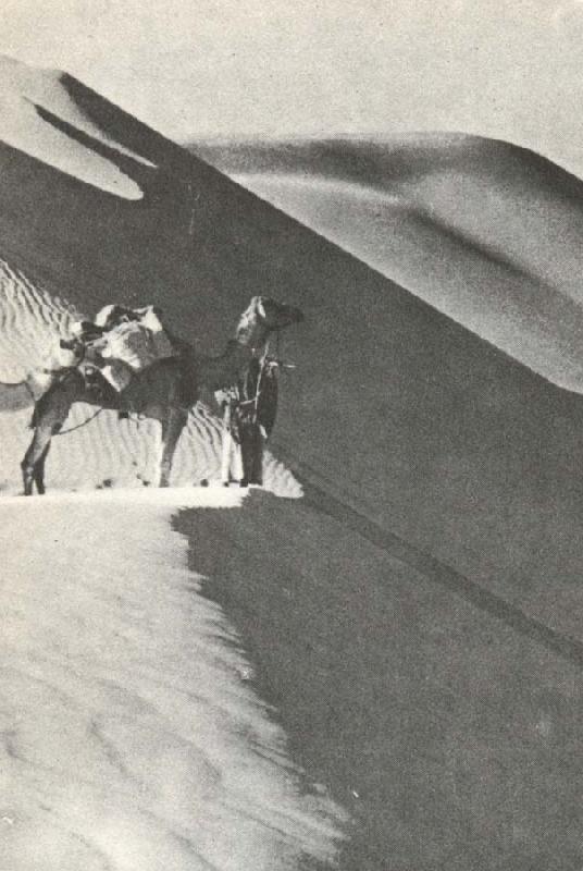 william r clark wilfred thesigers expedition rastar pa toppen av en sanddyn under ritten genom det tomma landet oil painting image